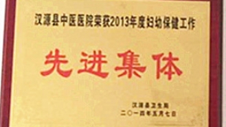 2013年度妇幼保健工作先进集体