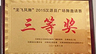 “龙飞凤舞”2015汉源县广场舞邀请赛三等奖