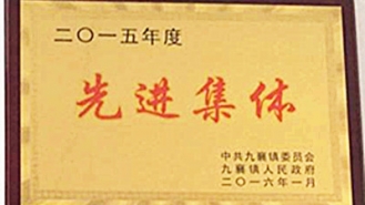 二〇一五年度先进集体