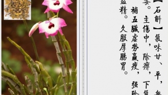 石斛