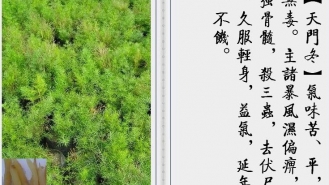 天门冬