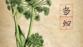 当归